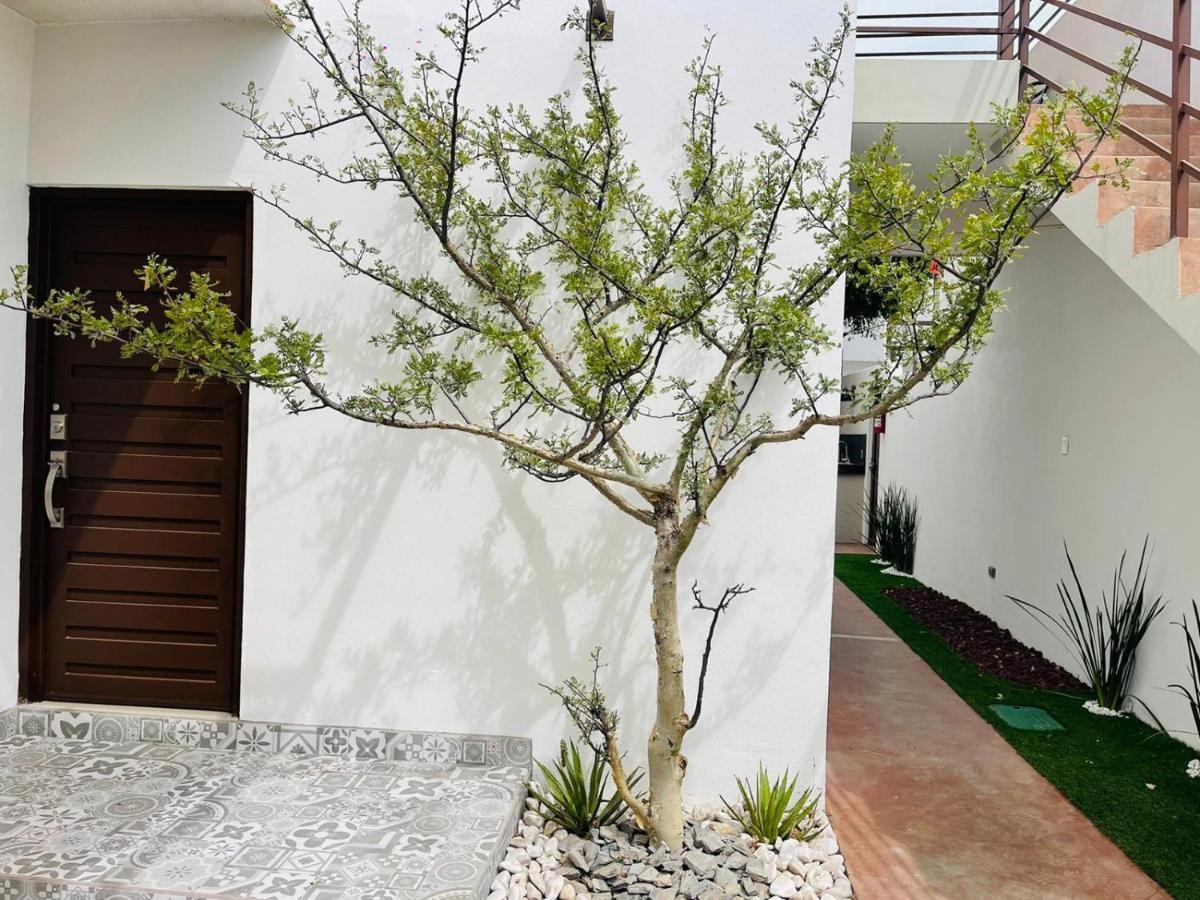 לה פז Casa Maya מראה חיצוני תמונה